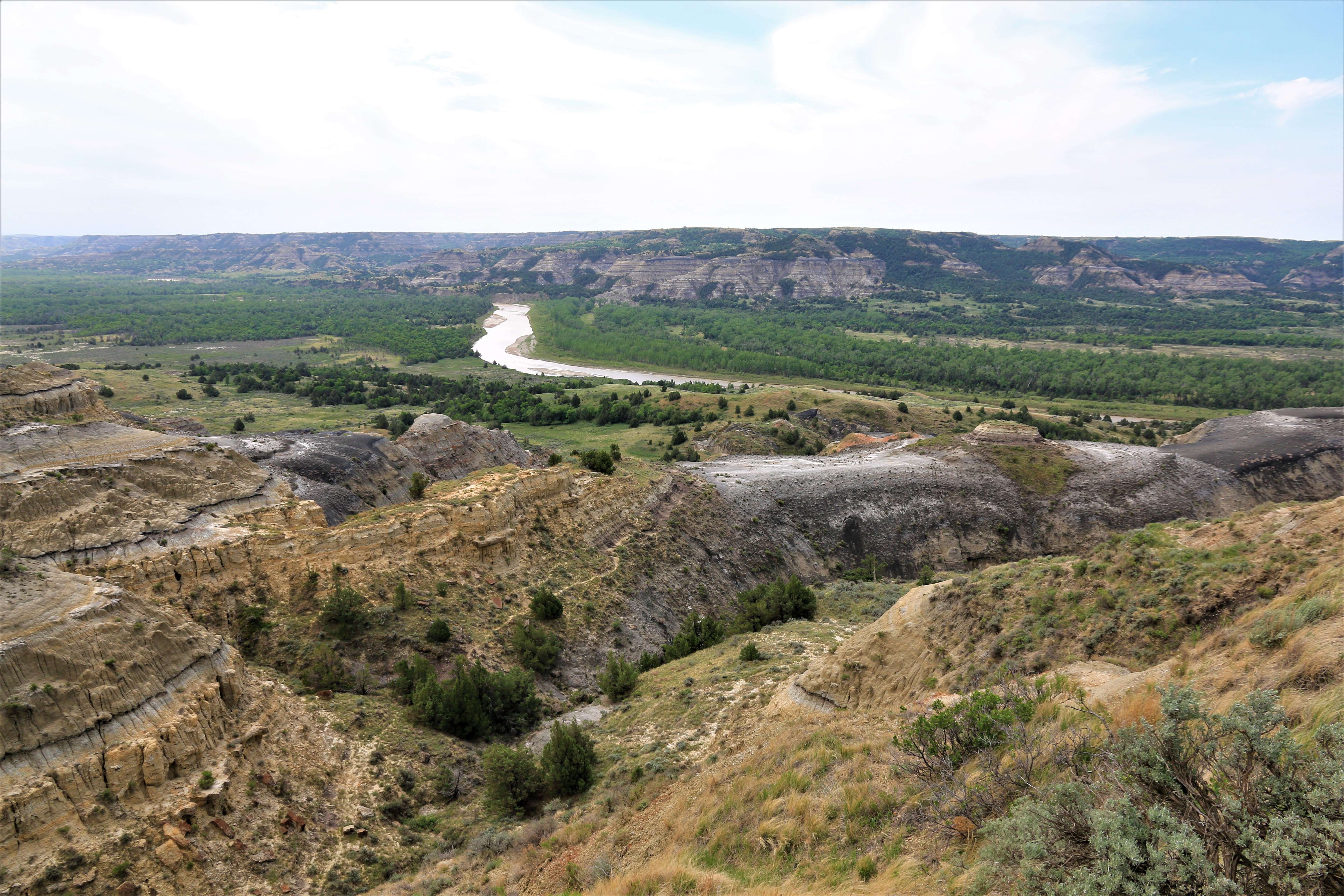 Theodore Roosevelt NP